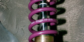 Reiger Racing Suspension front springs